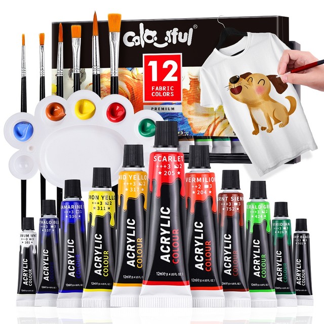 COLORFUL Fabric Paint Set for Clothes with 6 Brushes, 1 Palette, 12 Colors  Permanent Textile Puffy